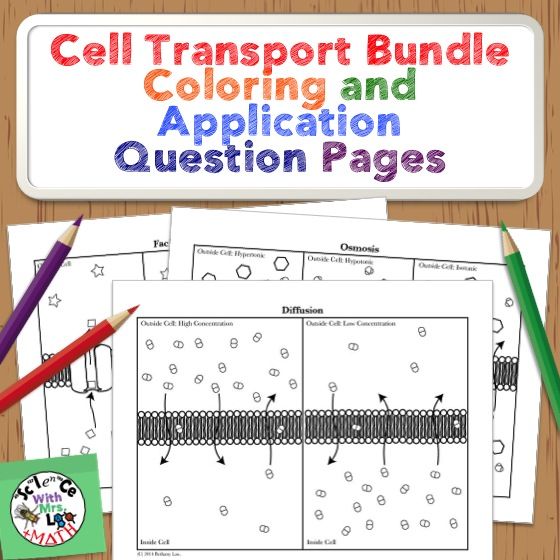 Cell Transport Coloring Activities Bundle