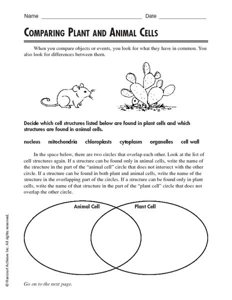 Comparing Plant And Animal Cells Worksheet | Free Worksheets Samples