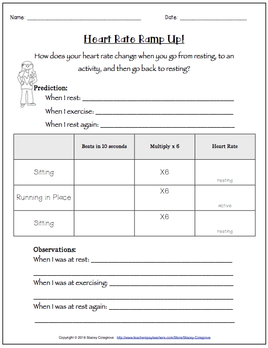 Circulatory System Ngss Ls1  Inquiry, Worksheets, Visuals, Exit