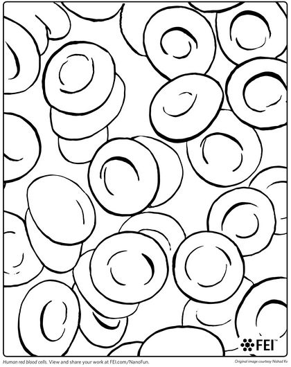 Red Blood Cell Coloring Page