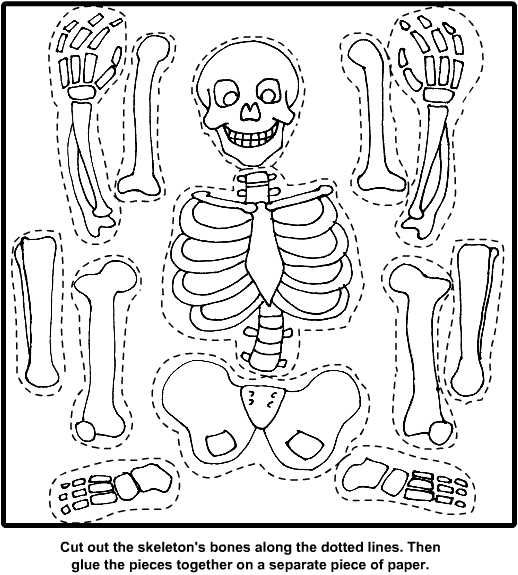 Bones For Kids Worksheets