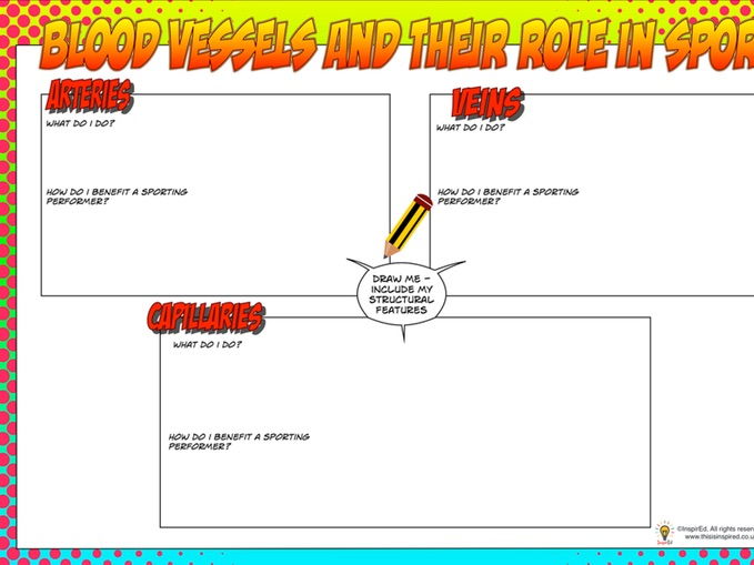 New Edexcel Gcse Pe Unit 1 â Topic 1 2 â Cardiovascular System