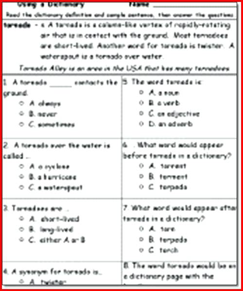 2nd Grade Reading Comprehension Worksheets