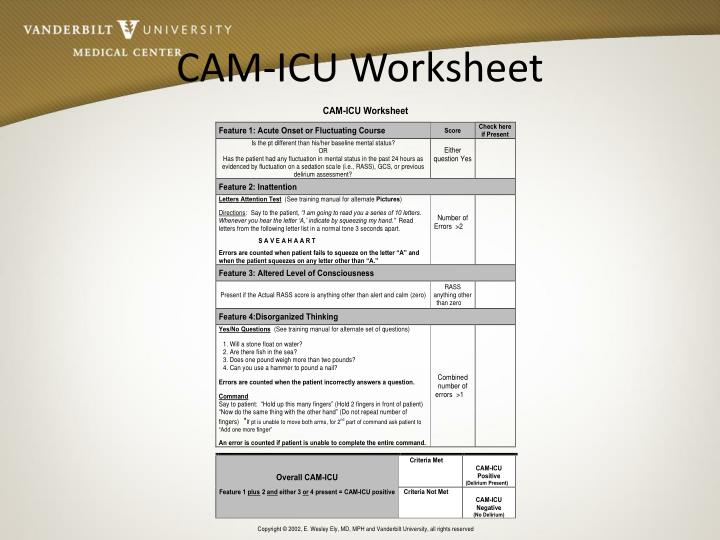 Cam Icu Worksheets
