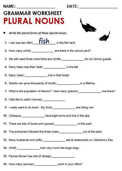 Plural & Singular Nouns