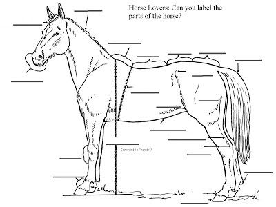 Worksheet For Horseback Pin