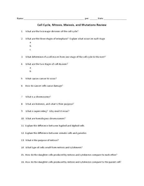 Large Size Of Doc Chromosome Mitosis Cell Division And Worksheet