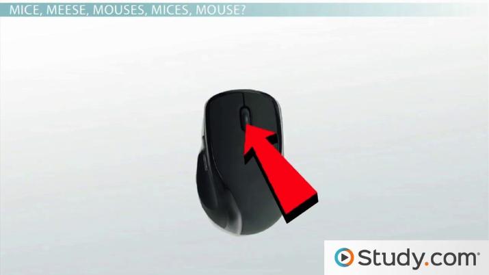 Computer Input Devices  Keyboards, Mice, Audio & Video