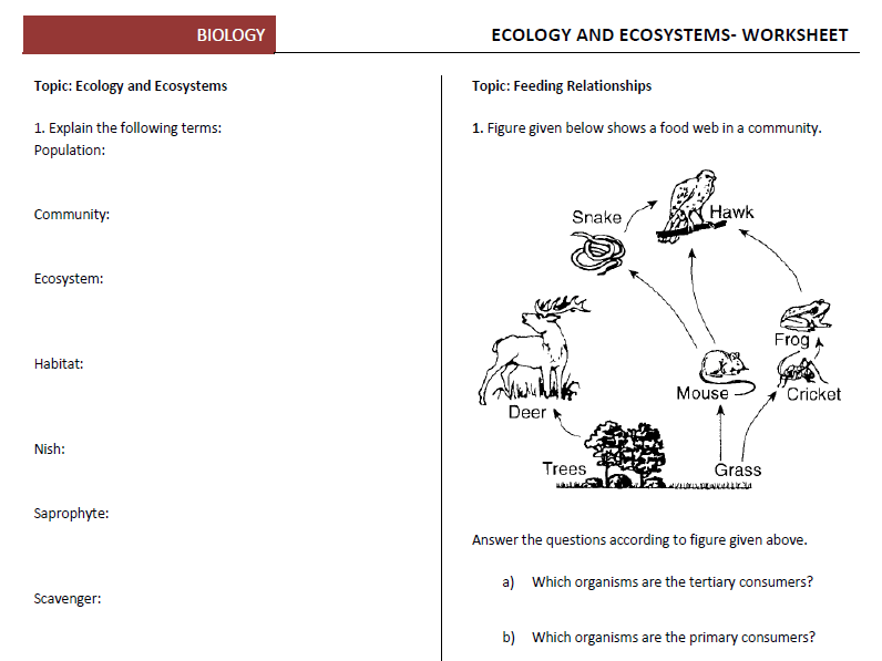 Ecology And Ecosystems Worksheets By Biyonom
