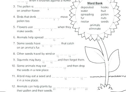 Grade 3 Science Worksheets Plants Exploring For 2 In 5 Matter Pdf