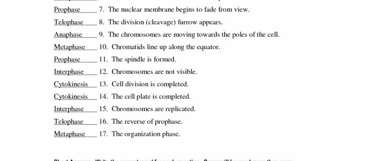 Integrated Science Cycles Worksheet Answer Mitosis Worksheet And Free