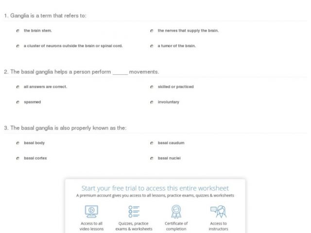 The Latest Parent Function Worksheet Answers Review