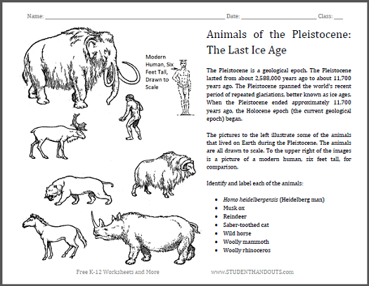 Pleistocene Epoch Animals Sheet