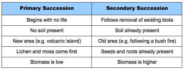 Primary And Secondary Succession Worksheet Archives