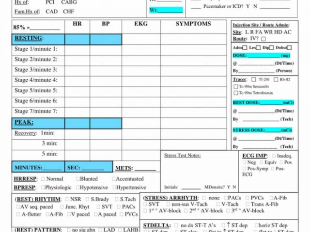 Stress Test Report Template