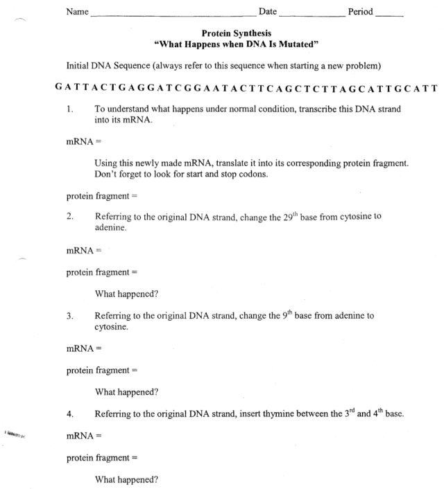 Dna Replication Transcription And Translation Worksheet