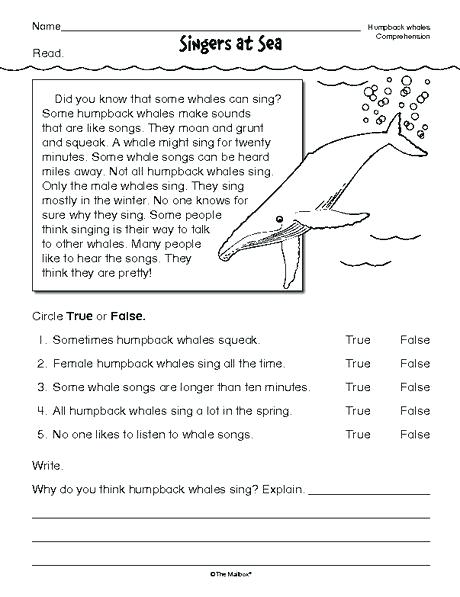 esl worksheets reading comprehension