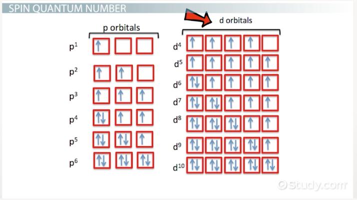 Spin Quantum Number  Definition & Example