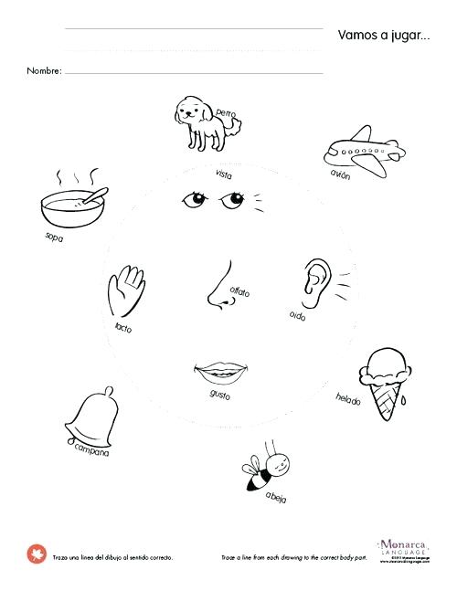 Similar Images For Five Senses Worksheets Library 3rd Grade Pdf 3