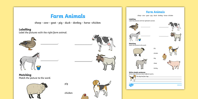 Farm Animals Worksheet