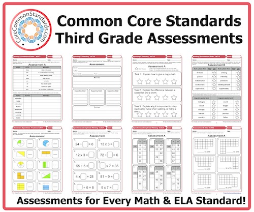Third Grade Common Core Assessment Workbook Paperback