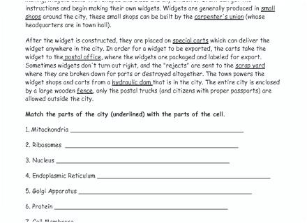 Cell Analogy Worksheets Answer Key