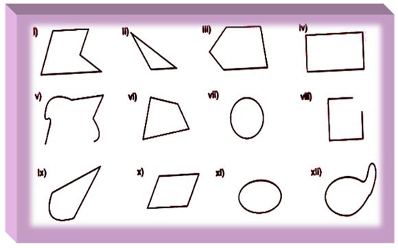 Worksheet On Polygons