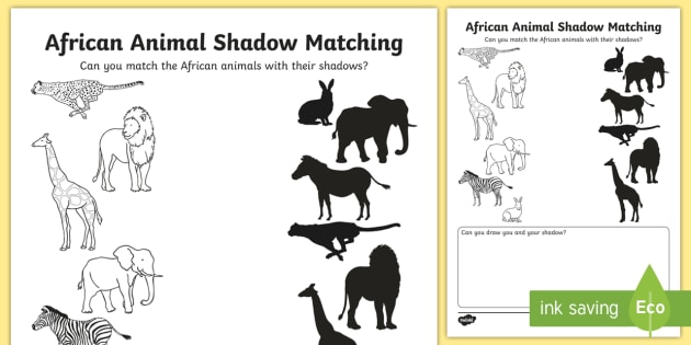 African Animal Shadows Matching Worksheet   Worksheet