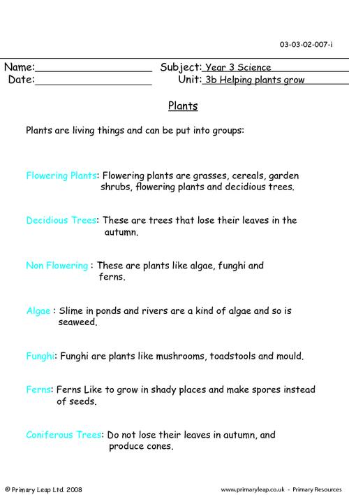 Plants Information Sheet