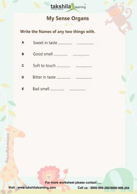 Worksheets For Class 1 Evs Ncert & Cbse