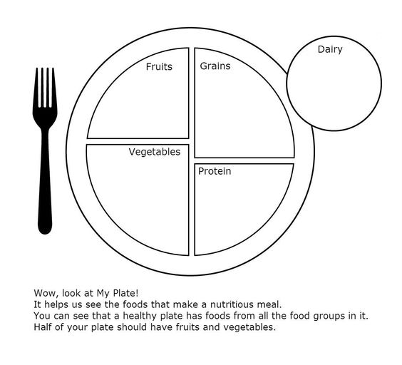My Plate Worksheet For Health