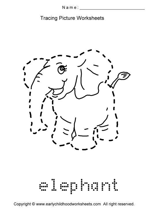 Trace Animals