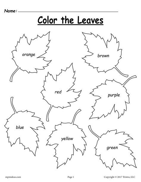 Free Fall Leaf Color Words Worksheet