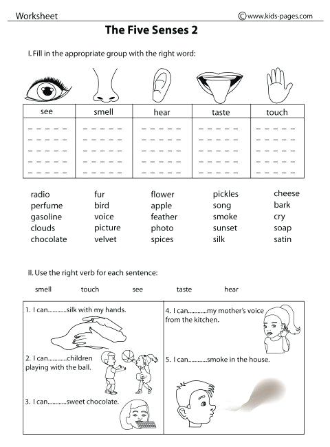 5 Senses Worksheets For Kindergarten 5 Senses Worksheets Five