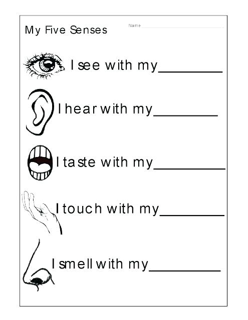 5 Senses Worksheets For Kindergarten Preschool Five Worksheet