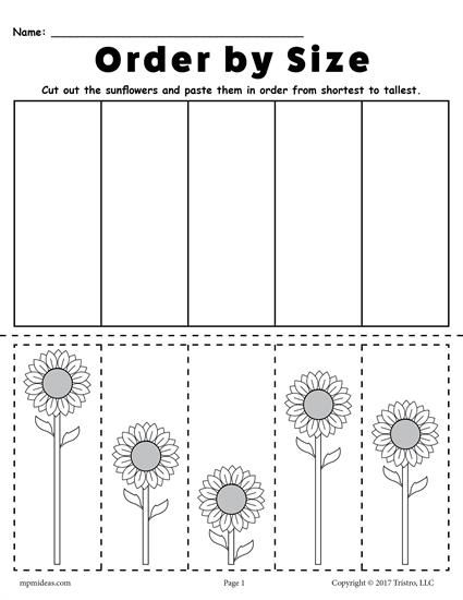 Free Printable Sunflower Ordering Worksheets  Shortest To Tallest