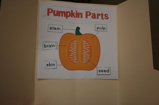 Pumpkins! Unit Study  Pumpkins Lapbook