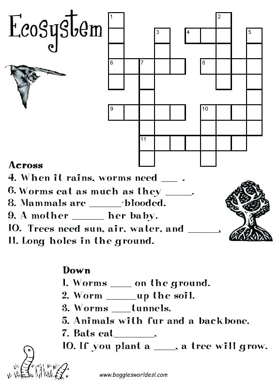 Awesome Energy Flow In Ecosystems Worksheet Free Worksheets Awesome Energy Flow In Ecosystems Worksheet Free Worksheets