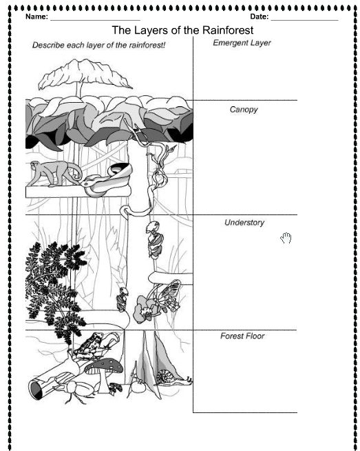 Diana Pryde (dipryde51) On Free Worksheets Samples