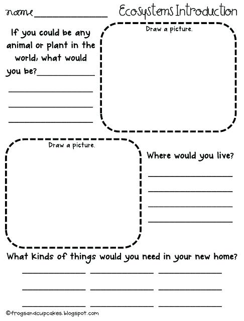 Worksheet On Ecosystem High School Ecology Geography Ecosystem | Free ...
