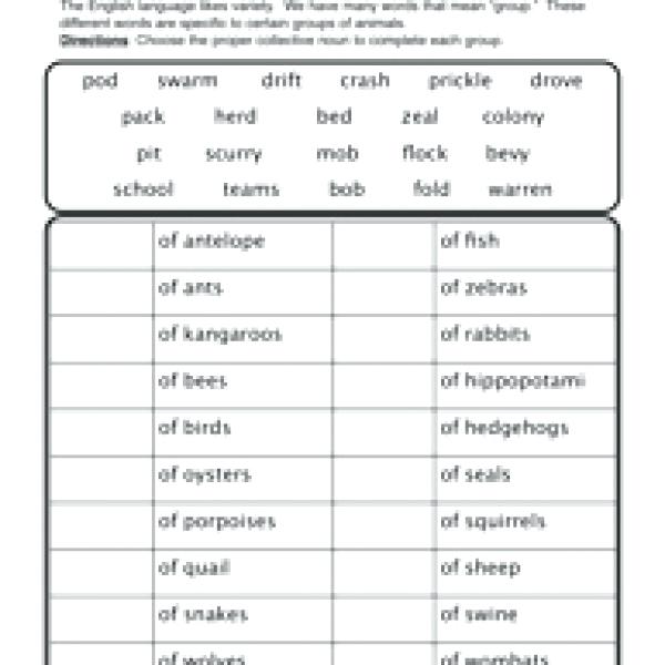 Collective Nouns For Second Grade Collective Nouns Test Grade