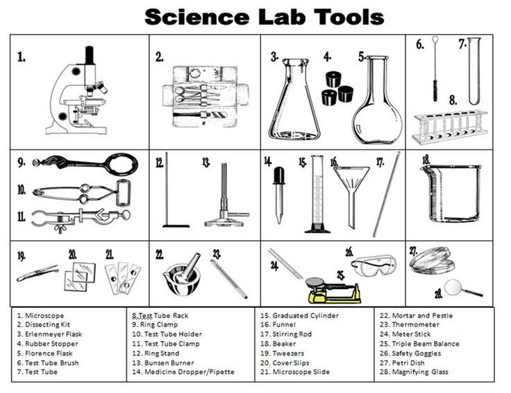 Printables Biology Lab Equipment Worksheet Lemonlilyfestival | Free ...