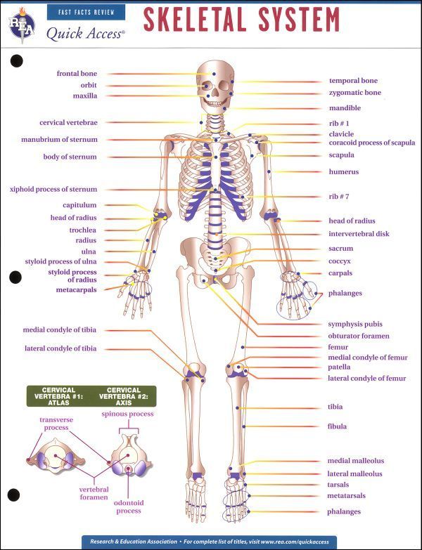 High School Art Worksheets