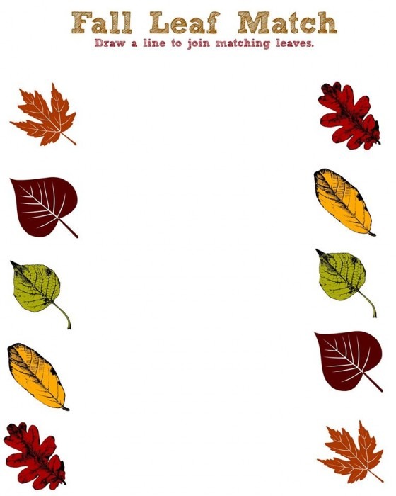 Free Fall Worksheets Printables