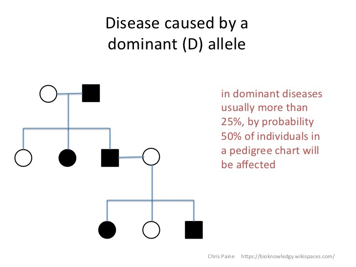 Pedigree Chart Key