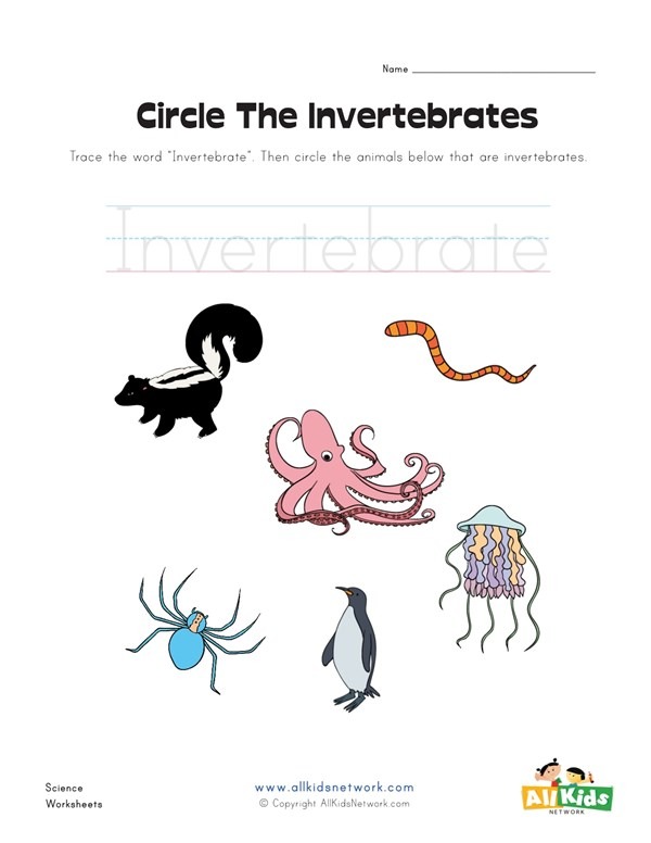 Circle The Invertebrates Worksheet