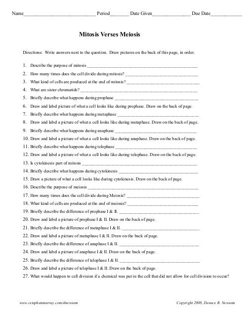 Meiosis Worksheet Answers