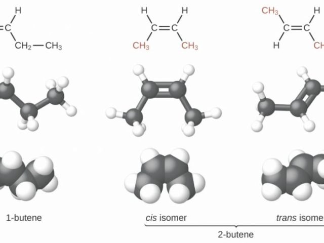 Phase Diagram Worksheet Answers Idea Of   Hydrocarbons â Chemistry