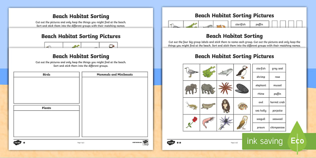Ks1 Beach Habitat Sorting Differentiated Worksheet   Worksheets