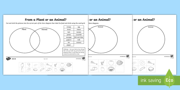 Animal Or Plant Sorting Differentiated Worksheet   Worksheets
